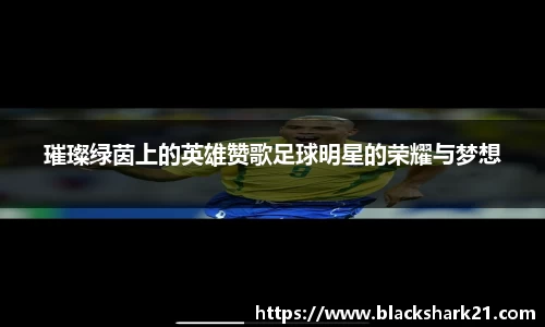璀璨绿茵上的英雄赞歌足球明星的荣耀与梦想